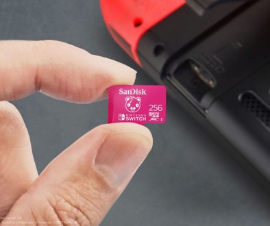 Lifestyle-MicroSDXC-For-Nintendo-Switch-Fortnite.256GB.CuddleTeam.LR